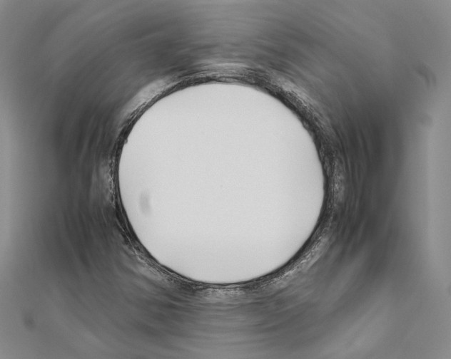 X0000110931354200907301615
