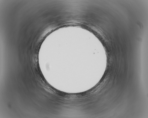 X0000110931355200907301615