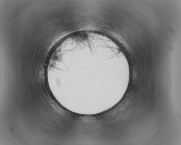 X0000110931356200907301615