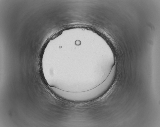 X0000110931357200907301615
