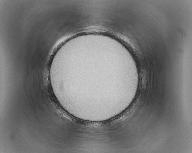 X0000110931358200907301615