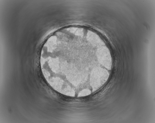 X0000110931359200907301615
