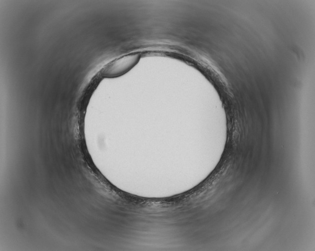 X0000110931360200907301615