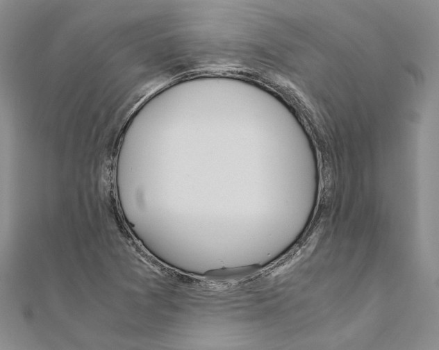 X0000110931361200907301615