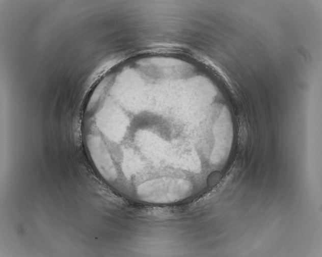 X0000110931362200907301615