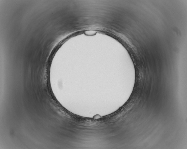 X0000110931364200907301615