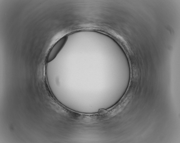 X0000110931365200907301615