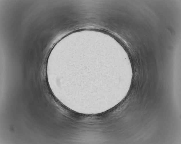 X0000110931367200907301615