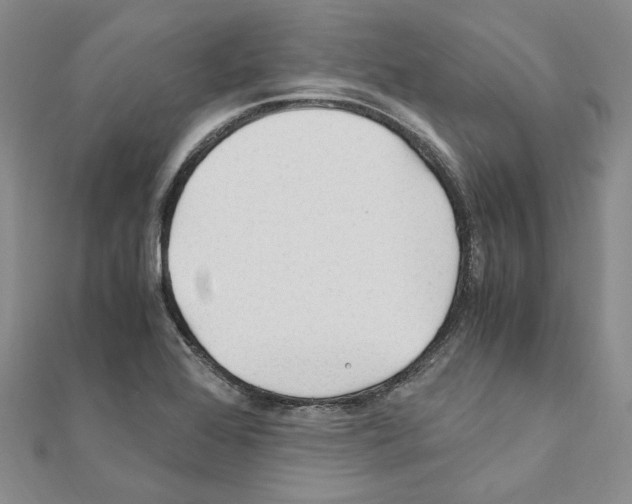 X0000110931368200907301614