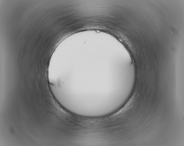 X0000110931369200907301614