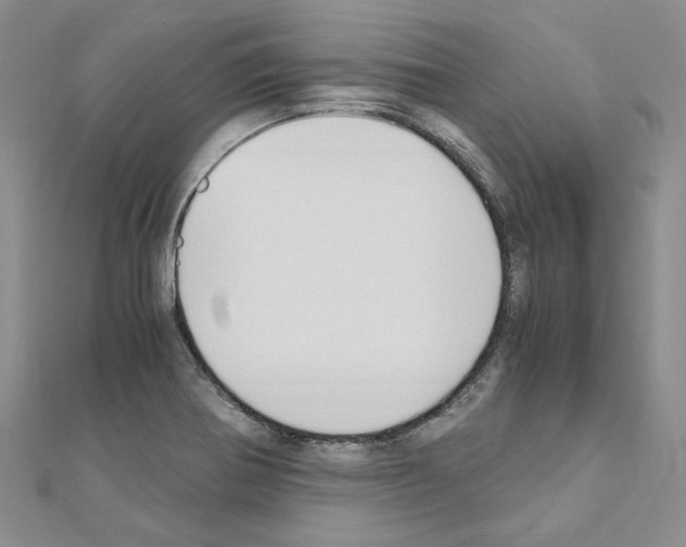 X0000110931370200907301614