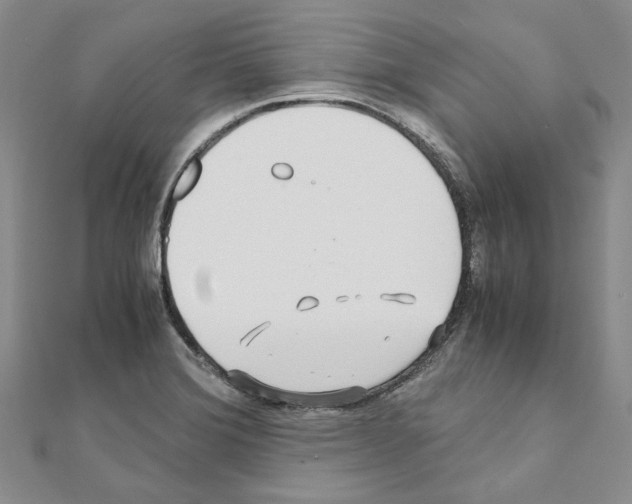 X0000110931372200907301614