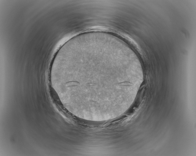 X0000110931373200907301614