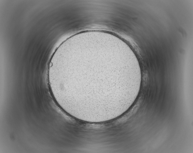 X0000110931374200907301614