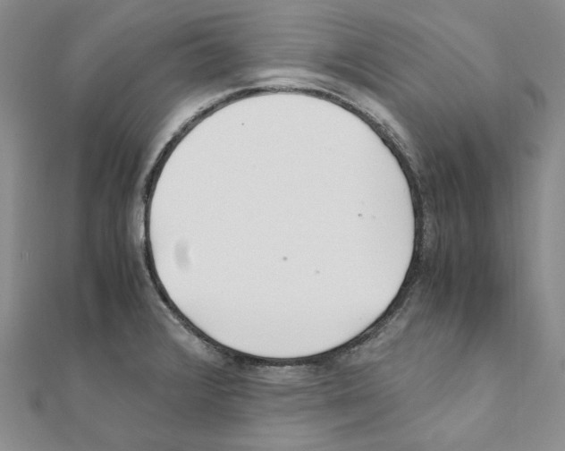 X0000110931376200907301614