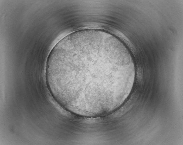X0000110931378200907301614