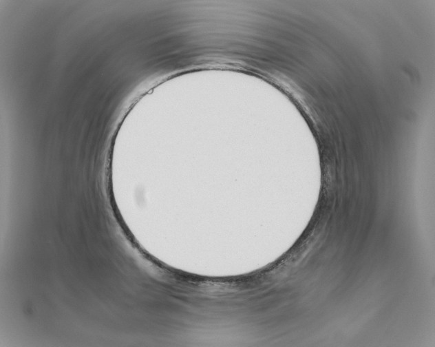 X0000110931379200907301614