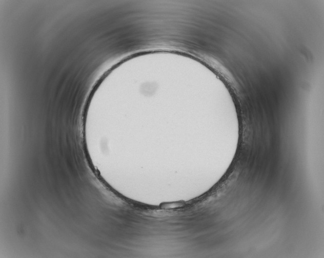 X0000110931380200907301614
