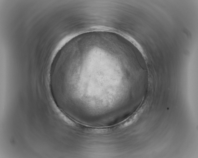 X0000110931381200907301614