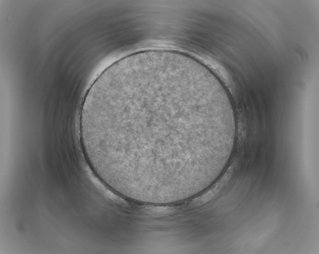 X0000110931382200907301614