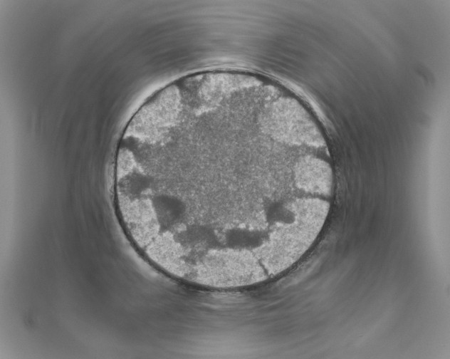 X0000110931383200907301614