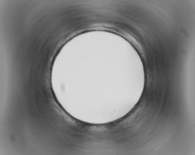 X0000110931384200907301614