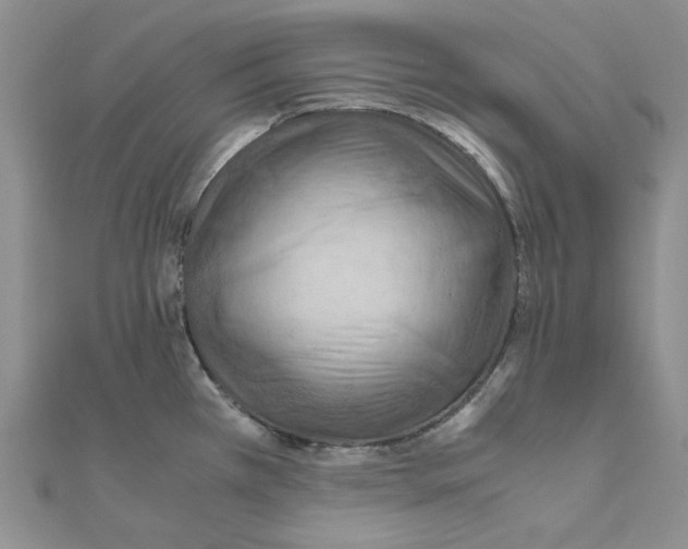 X0000110931385200907301614
