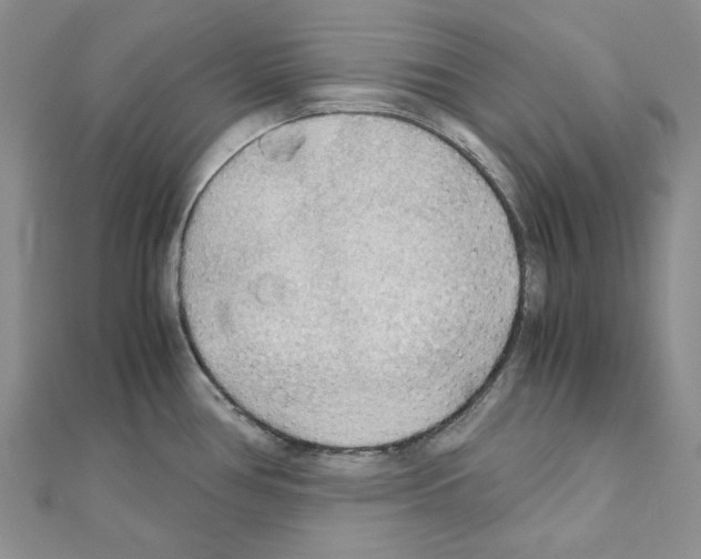 X0000110931386200907301614