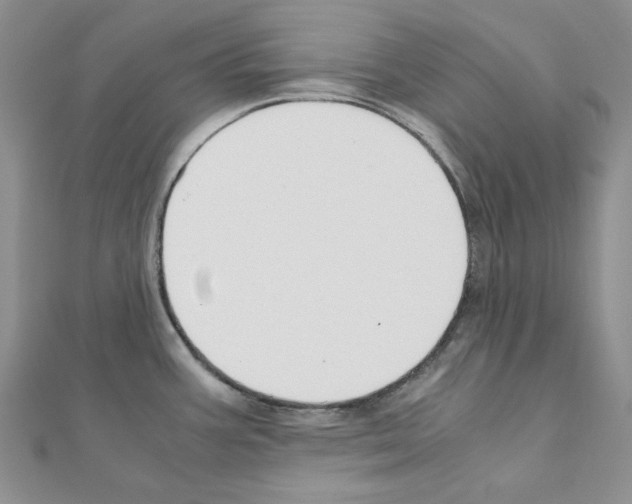 X0000110931387200907301614