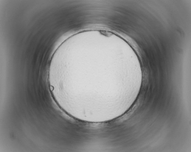 X0000110931390200907301614