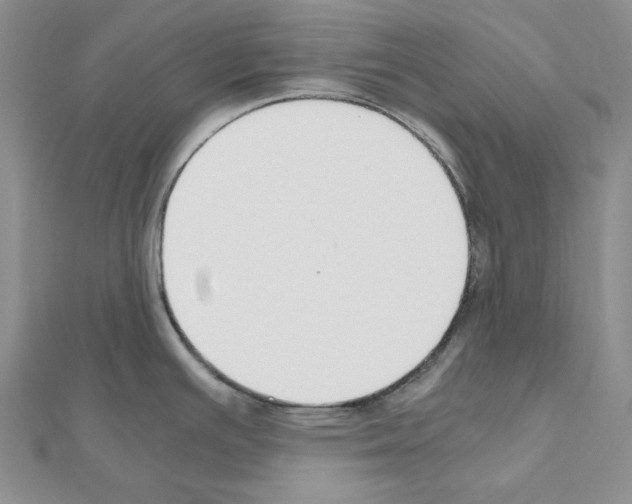 X0000110931391200907301614