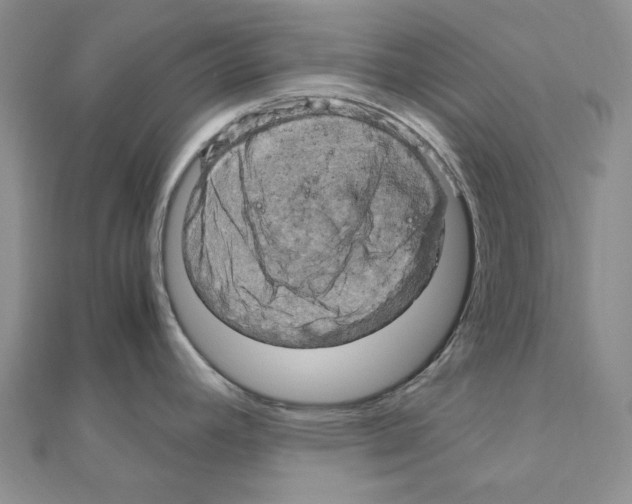 X0000110931392200907301614
