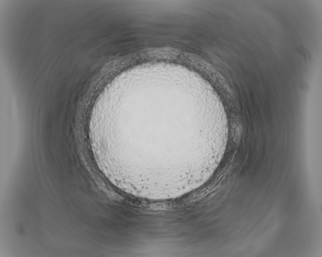 X0000110931393200907301614