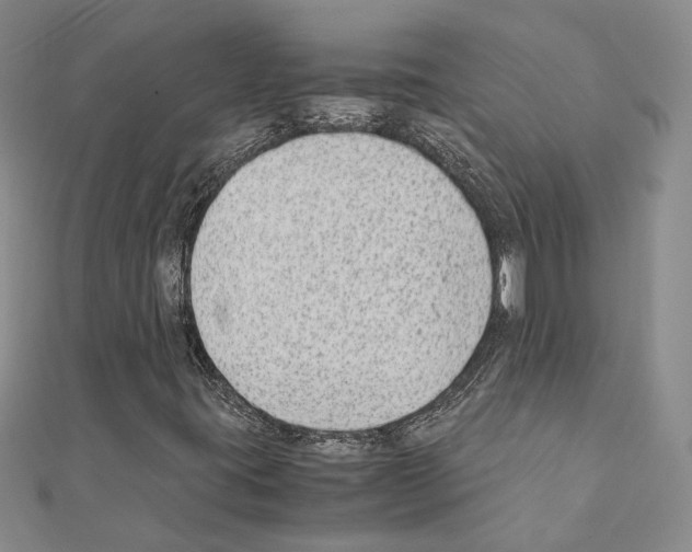 X0000110931395200907301614
