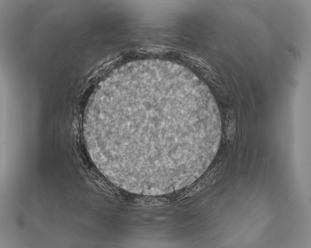 X0000110931397200907301614