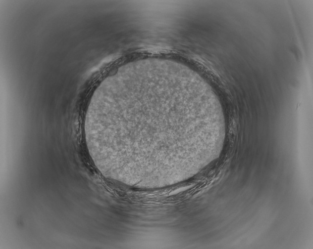 X0000110931398200907301614