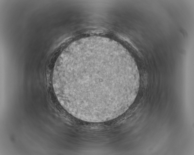 X0000110931399200907301614