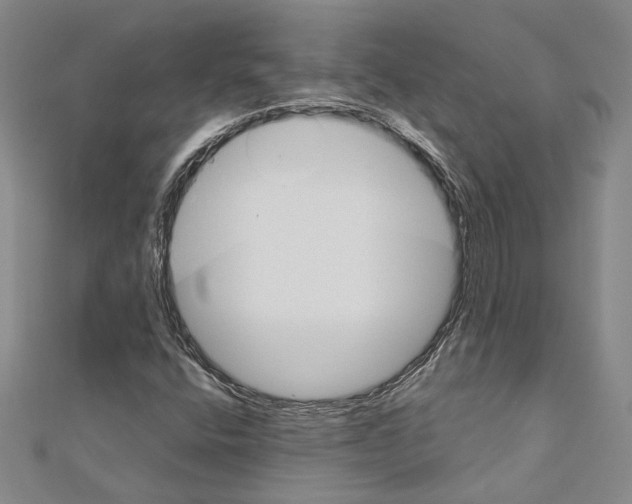 X0000110931400200907301614