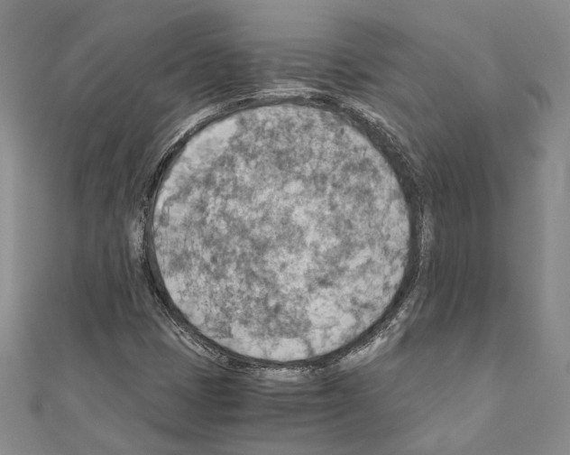 X0000110931401200907301614