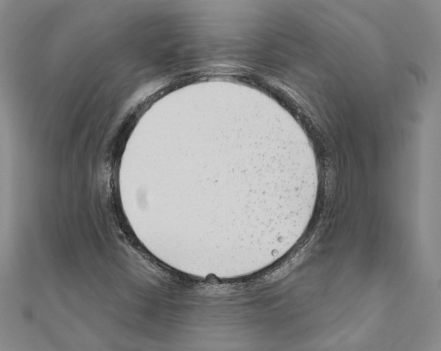 X0000110931402200907301614
