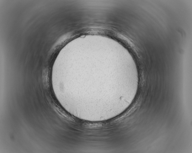 X0000110931403200907301614