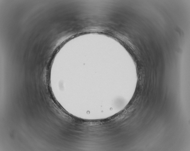 X0000110931404200907301614