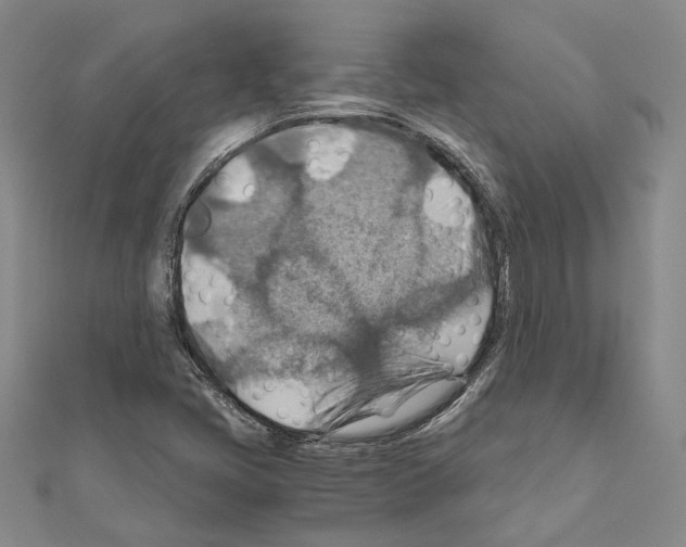 X0000110931405200907301614