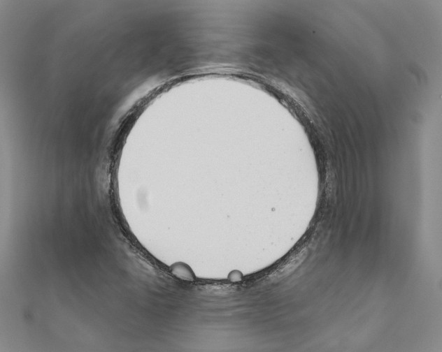 X0000110931406200907301614