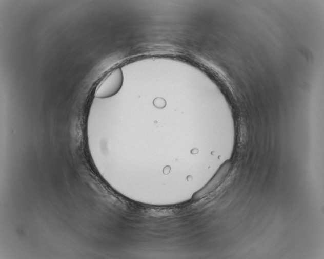 X0000110931407200907301614