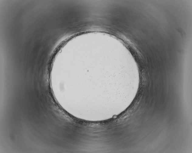 X0000110931408200907301614