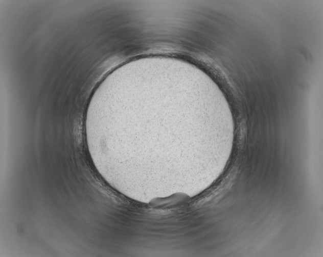 X0000110931409200907301614