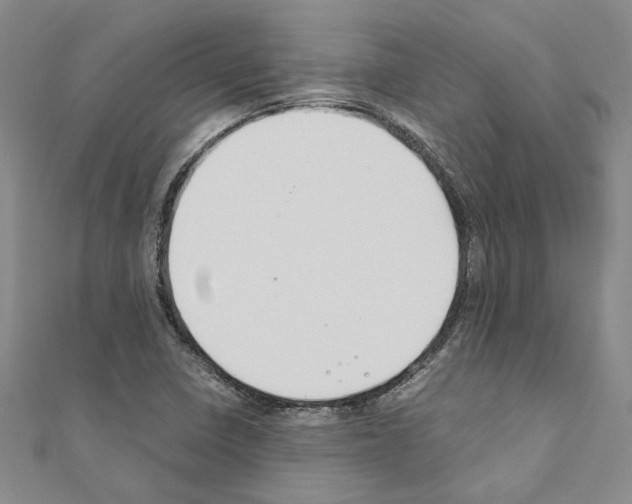 X0000110931410200907301614