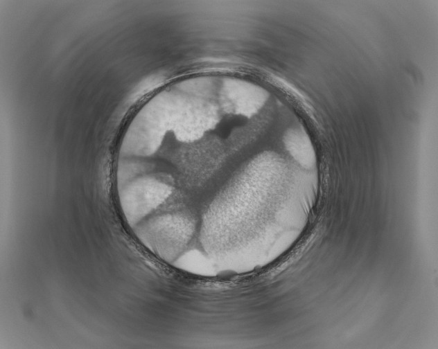 X0000110931411200907301614