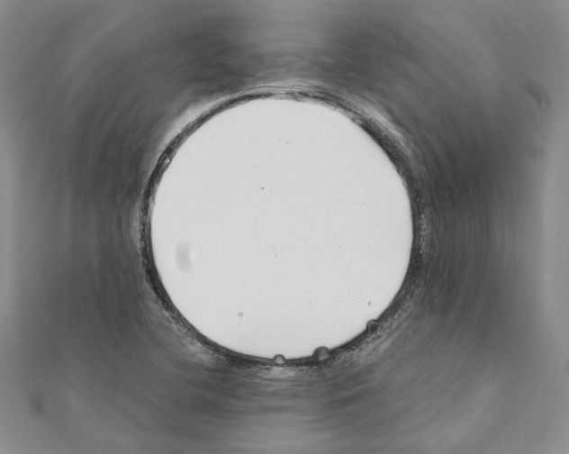 X0000110931412200907301614